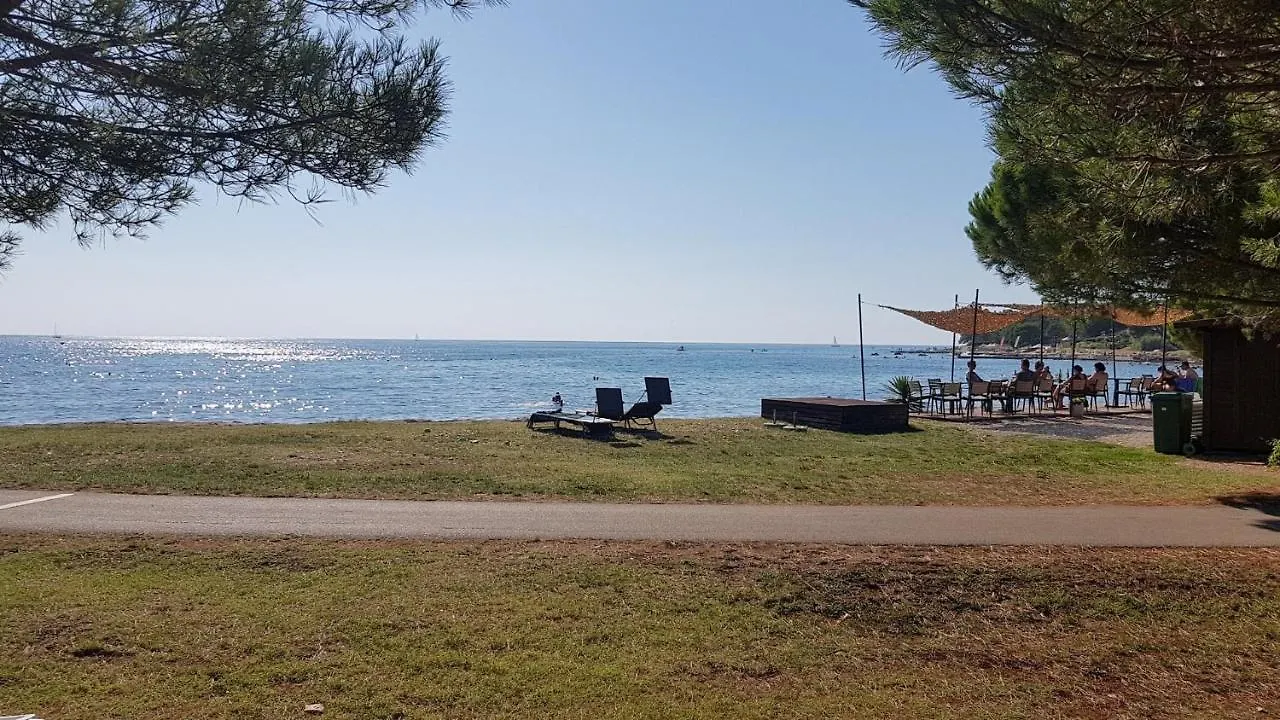 Guest house Apartment Giulia With Sea View In Novigrad Novigrad