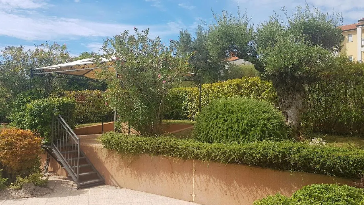 Apartment Giulia With Sea View In Novigrad Novigrad  Guest house