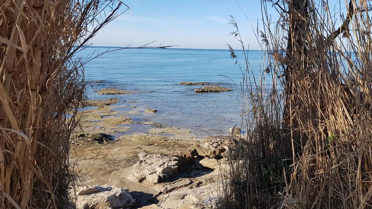Apartment Giulia With Sea View In Novigrad Novigrad