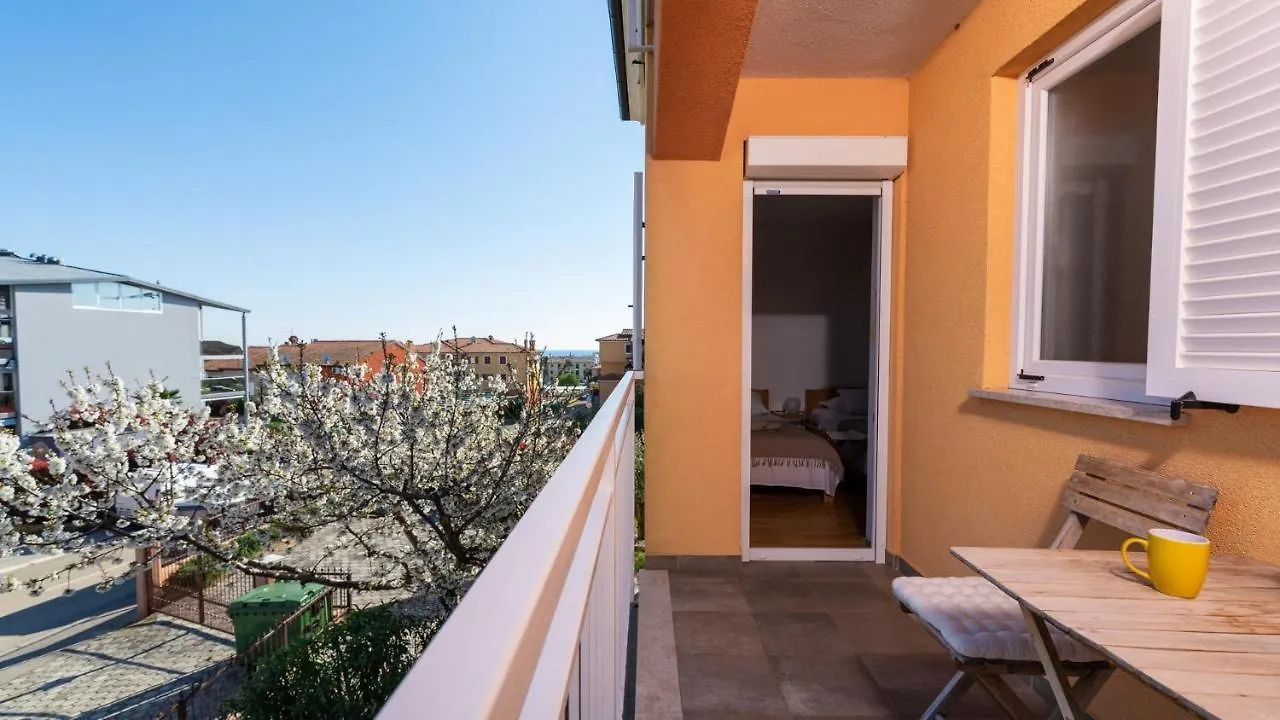 Apartment Giulia With Sea View In Novigrad Novigrad  0*, Novigrad (Istria)