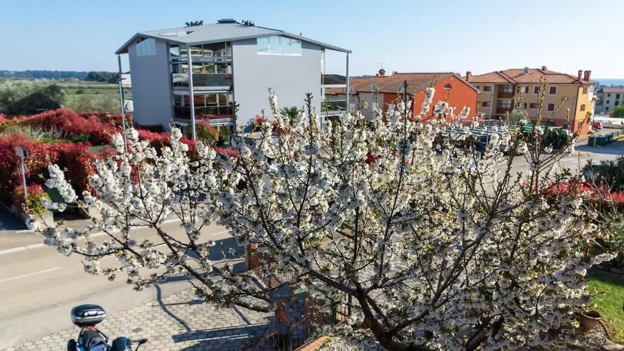Apartment Giulia With Sea View In Novigrad Novigrad  0*, Novigrad (Istria)